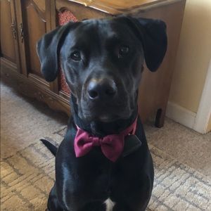 Meet your Posher, Deborah